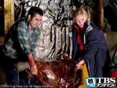 映画｢ｴｲﾘｱﾝ･ﾊﾟﾝﾃﾞﾐｯｸ｣【TBSｵﾝﾃﾞﾏﾝﾄﾞ】